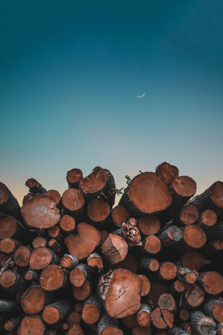 Holzstapel in der Dämmerung mit Mondsichel